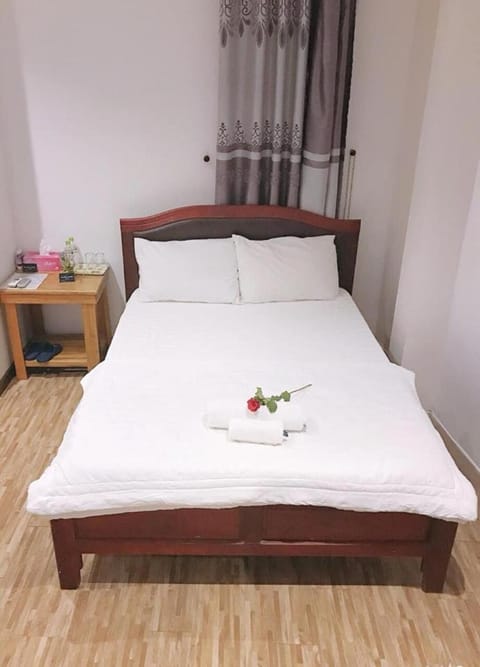 Salyna Motel Bed and Breakfast in Da Nang