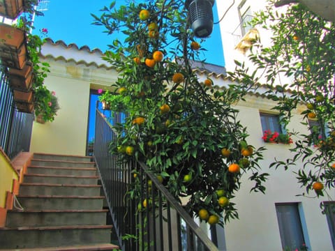 ComeinSicily Mansion House Lemon Court Villa in Acireale