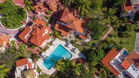 Bird's eye view, Garden, Garden view