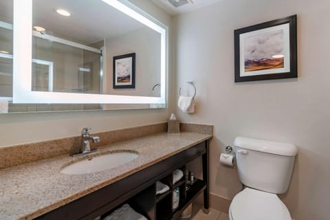 Bathroom, Photo of the whole room, On site