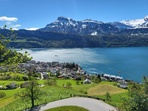 Hotel Platten Apartment Apartment in Nidwalden