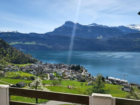 Hotel Platten Apartment Apartment in Nidwalden