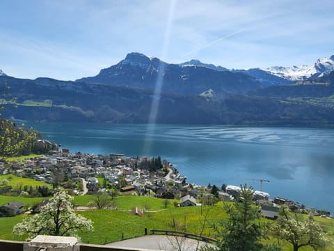 Hotel Platten Apartment Apartment in Nidwalden