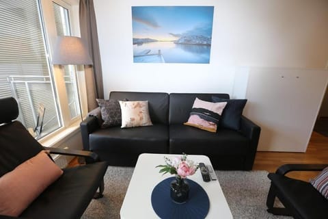 OSLO CITY CENTER 3 BEDROOMS APARTMENT, MANDALLS GATE 12 Apartment in Oslo