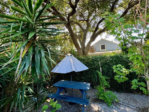 Natural landscape, Garden view