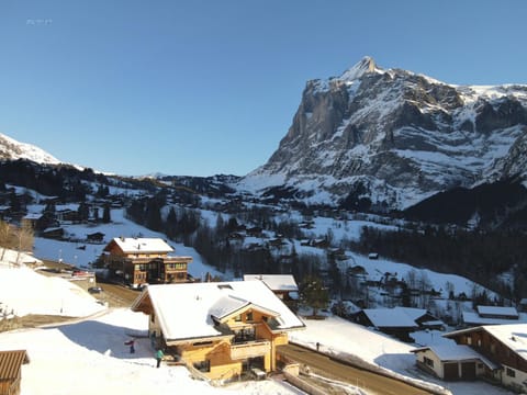 Chalet Mila Condo in Grindelwald