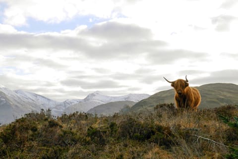 Nearby landmark, Natural landscape, Winter