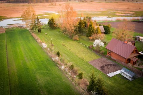 Sosnowy domek w rezerwacie nad Narwią House in Masovian Voivodeship