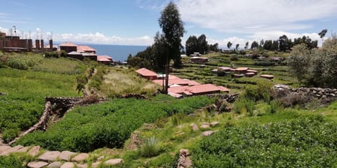 Taquile Hospedaje Mario Bed and Breakfast in Puno, Peru