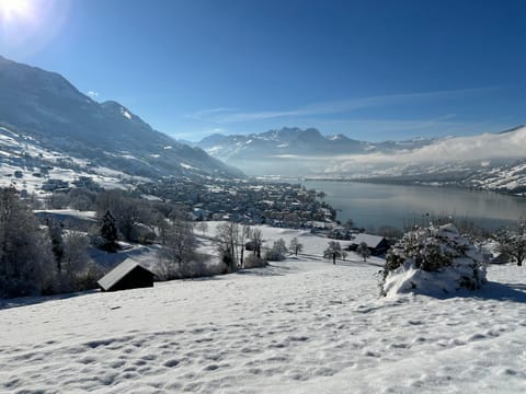 Bird's eye view, Winter