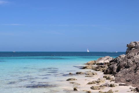 Seáak Cancun Rentals Copropriété in Cancun