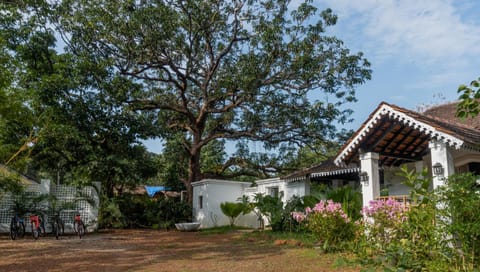 The Island Sanctuary Rock Pool Villa Villa in Goa, India