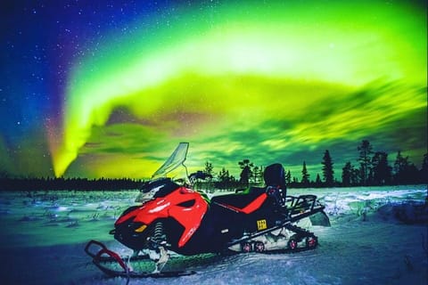 Night, Natural landscape, Activities, Winter