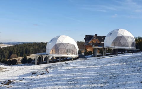 Property building, Winter