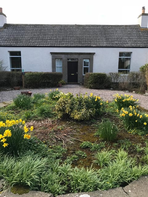 Balcony/Terrace, Balcony/Terrace