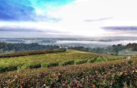 ROSTAGNI 1834 apt with pool in the Barolo region Apartment in Liguria