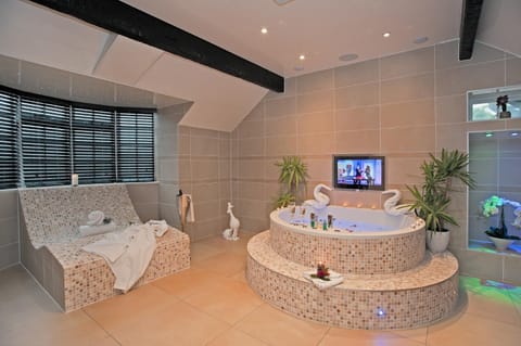 TV and multimedia, Spa and wellness centre/facilities, Bath