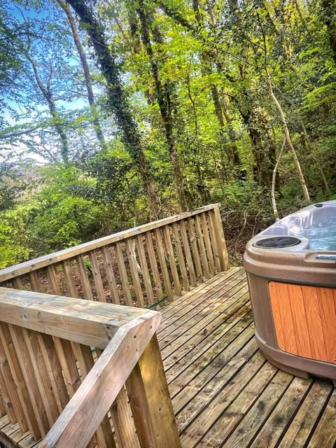 Woodland View -Hot Tub-Tenby-Carmarthen-St Clears Chalet in Wales