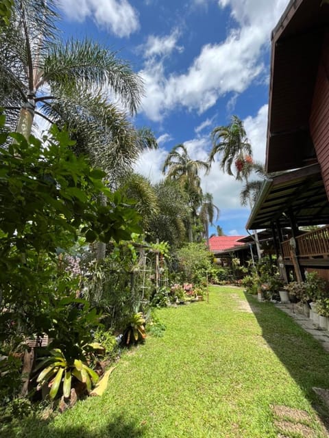 Garden view, Inner courtyard view