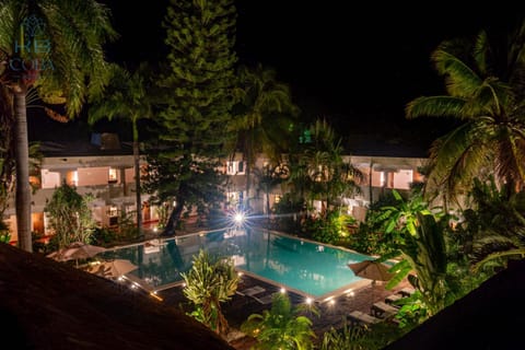 Night, Garden, Garden view, Pool view, Swimming pool