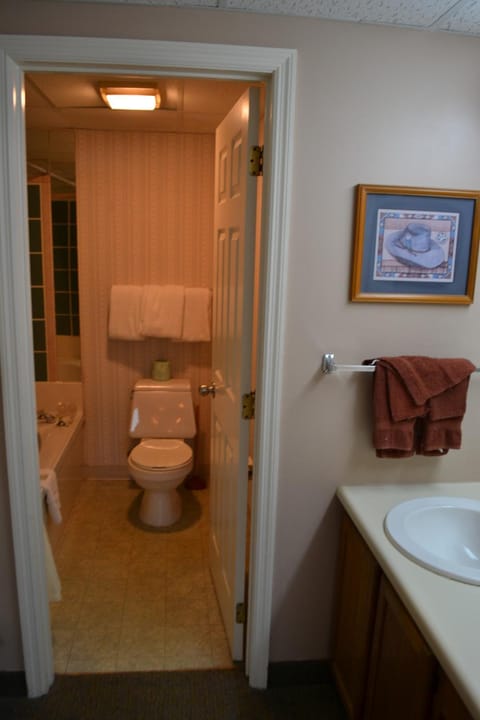 River Place Condos #602 2BD House in Pigeon Forge