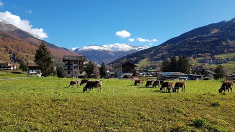 Baita nei pra Apartment in Bormio