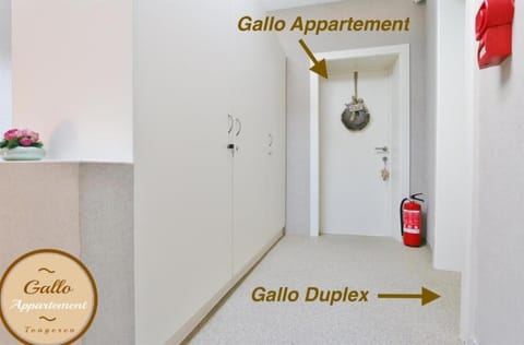 Gallo Appartement & Duplex Tongeren centrum Apartment in Flanders