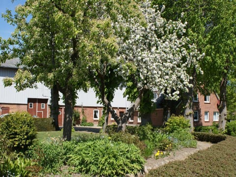 Ferienhof Schulz Apartment in Kappeln