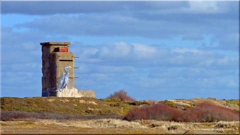 Maison familiale-Surf House, plage de Sainte Barbe House in Brittany