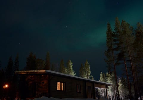 Arctic Nature Lodge Condo in Lapland