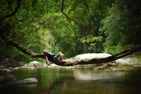 Natural landscape, Other, River view