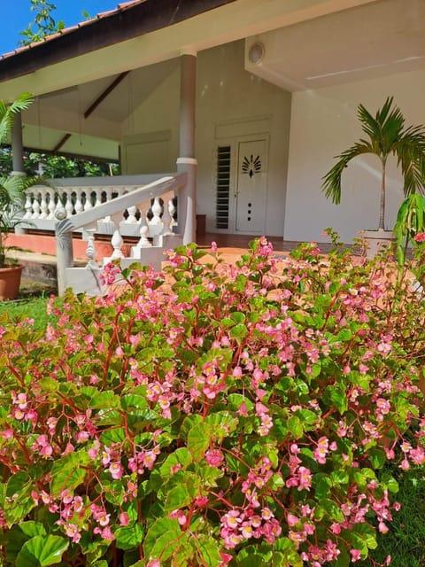 Logement de 100 m carré House in Arrondissement of Cayenne, French Guiana