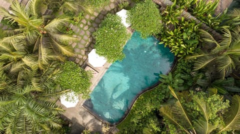 Garden, Swimming pool