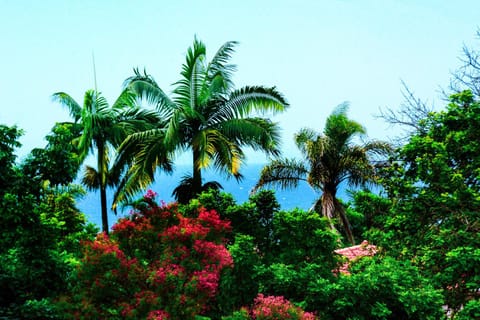 Natural landscape, Garden view, Sea view