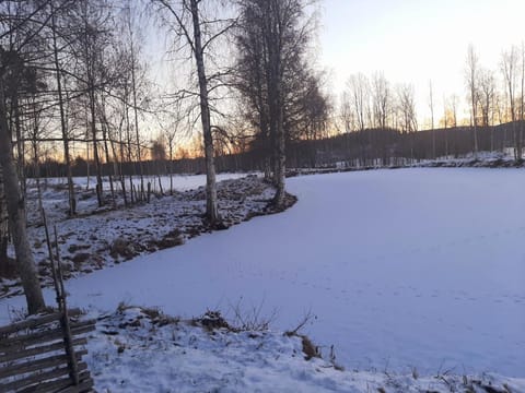 Skiing, Beach, Lake view