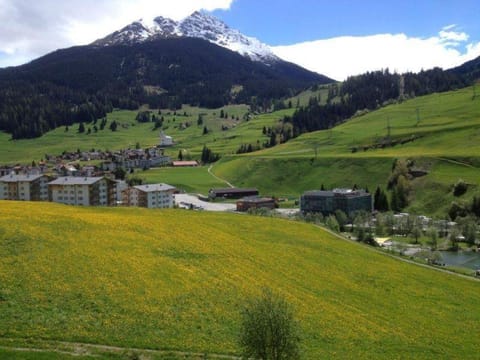 Natural landscape, Mountain view