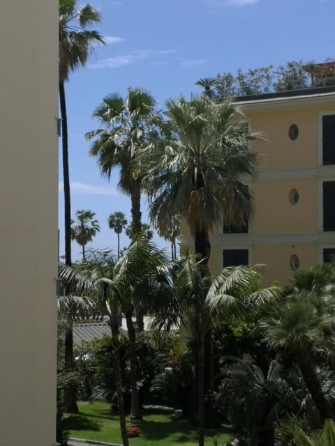 Garden view, Inner courtyard view