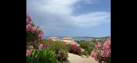 Residence Castugna Condo in Corsica