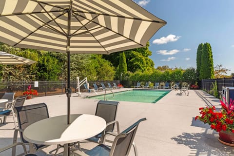 Pool view, Swimming pool