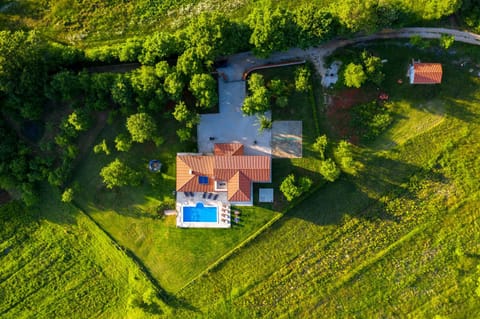 Luxury villa Dream with private pool for a high level of privacy Villa in Istria County