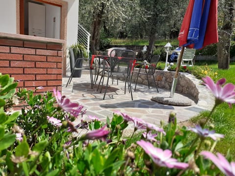 Patio, Garden