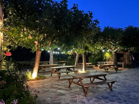 Patio, Garden, Garden view