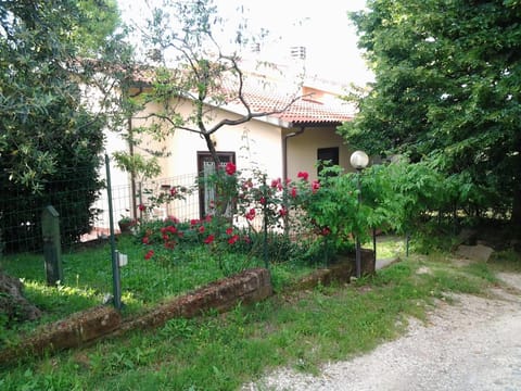 Property building, Spring