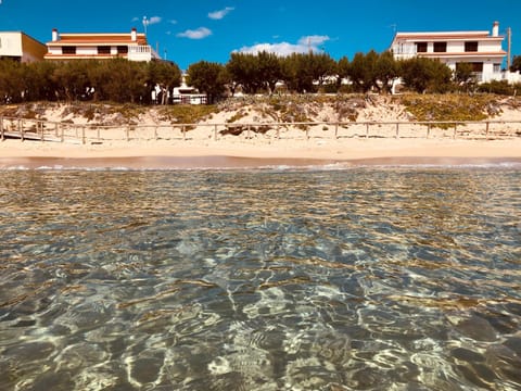 Beach, Landmark view