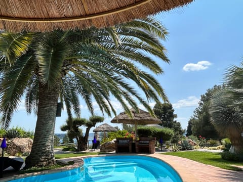 Garden, Swimming pool
