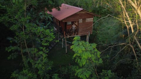 Tree house Hostel Sigiriya Ostello in Dambulla