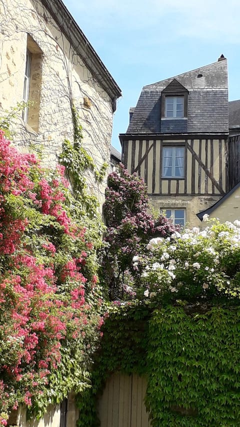 Property building, Garden, Landmark view