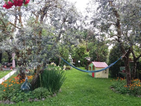 Children play ground, Garden, Garden view