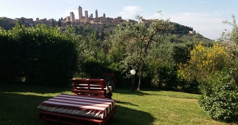 Garden, City view, Garden view