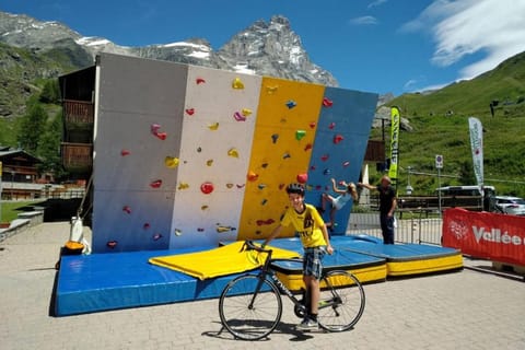 Ski chalet Cervinia MARTINO Apartment in Breuil-Cervinia